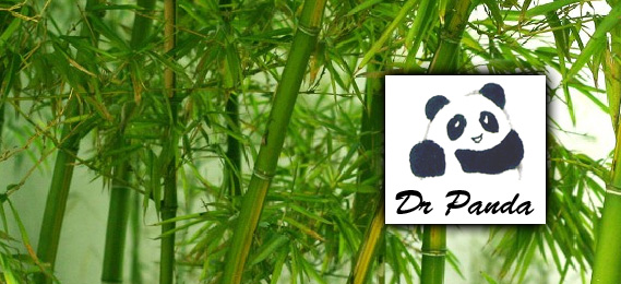 Dr Panda Header